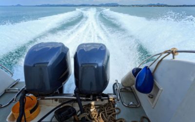 Unleash the Power of the Waves: Ultimate Guide to Lithium Trolling Motor Batteries